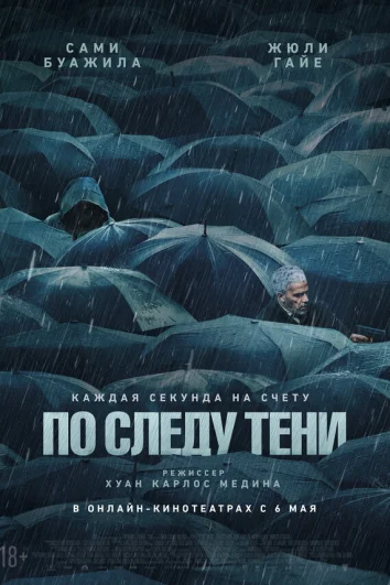 По следу тени
